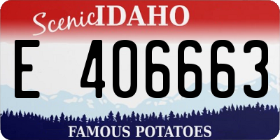 ID license plate E406663