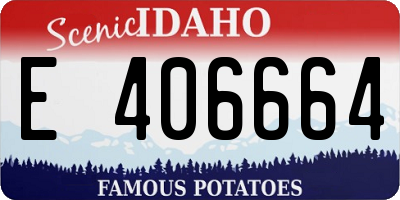 ID license plate E406664