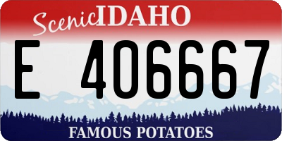 ID license plate E406667