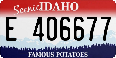 ID license plate E406677