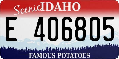 ID license plate E406805