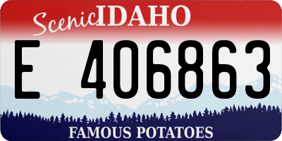 ID license plate E406863