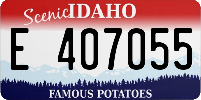 ID license plate E407055
