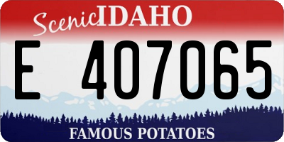 ID license plate E407065