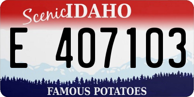 ID license plate E407103