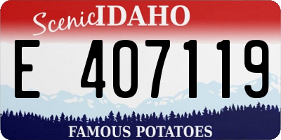 ID license plate E407119