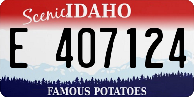 ID license plate E407124