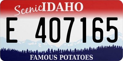 ID license plate E407165