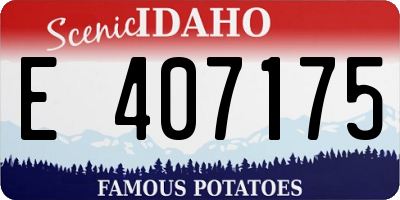 ID license plate E407175