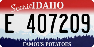 ID license plate E407209