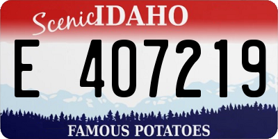 ID license plate E407219