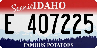 ID license plate E407225