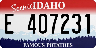 ID license plate E407231