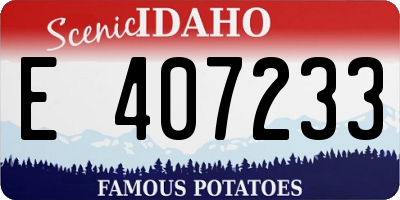 ID license plate E407233