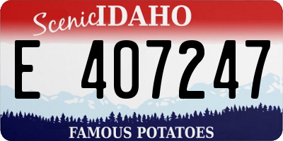 ID license plate E407247