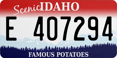 ID license plate E407294
