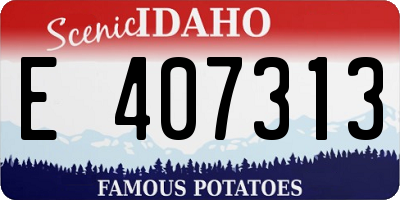 ID license plate E407313