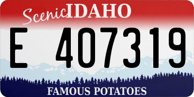 ID license plate E407319