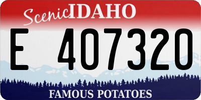 ID license plate E407320