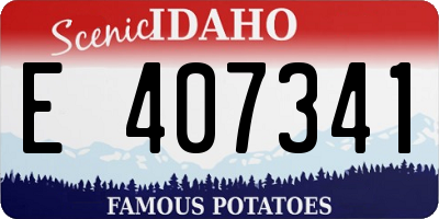 ID license plate E407341