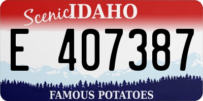 ID license plate E407387
