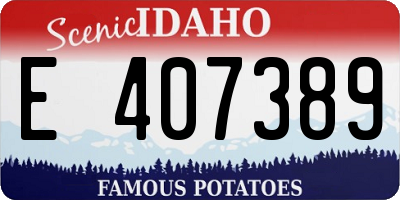 ID license plate E407389