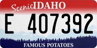 ID license plate E407392