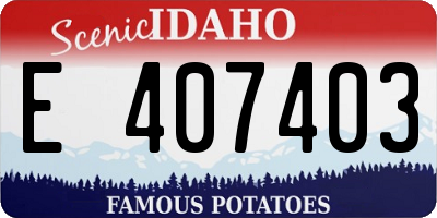 ID license plate E407403