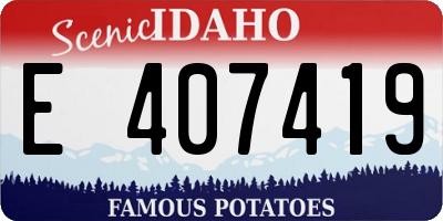 ID license plate E407419