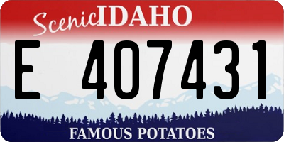 ID license plate E407431