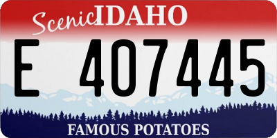 ID license plate E407445