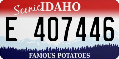 ID license plate E407446
