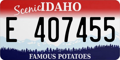 ID license plate E407455