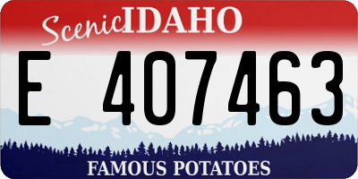 ID license plate E407463
