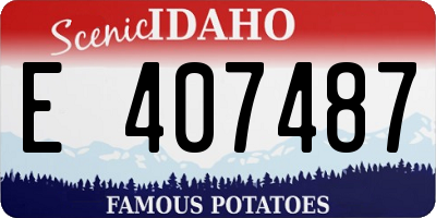 ID license plate E407487