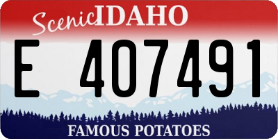 ID license plate E407491