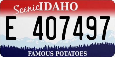 ID license plate E407497