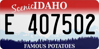 ID license plate E407502