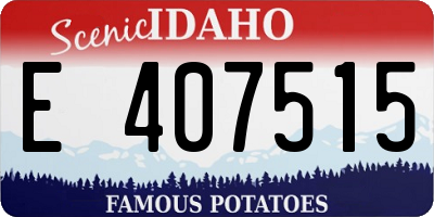 ID license plate E407515