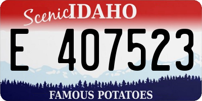ID license plate E407523
