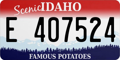 ID license plate E407524