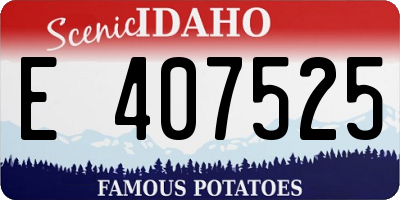 ID license plate E407525