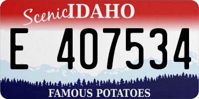 ID license plate E407534