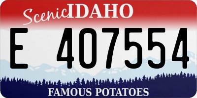 ID license plate E407554