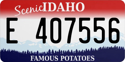 ID license plate E407556