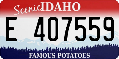 ID license plate E407559
