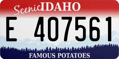 ID license plate E407561