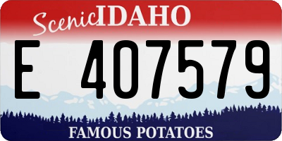 ID license plate E407579
