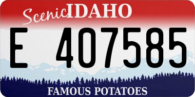 ID license plate E407585