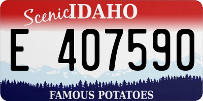 ID license plate E407590